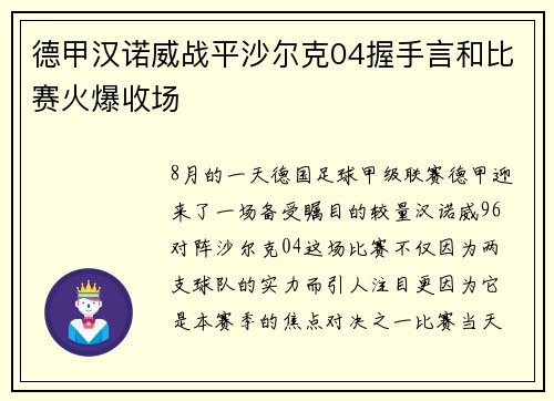 德甲汉诺威战平沙尔克04握手言和比赛火爆收场